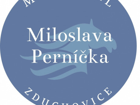 logo Memoriál MP